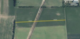 Zemědělská půda, prodej, Prušánky, Hodonín - 2