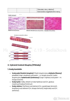 Maturitní otázky z bilogie a chemie - 2