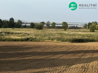Prodej pole v Pavlově - 2