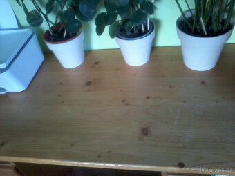 PSACÍ STŮL - BOROVICE - 2