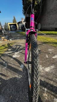 Author Ultima 24" - 2