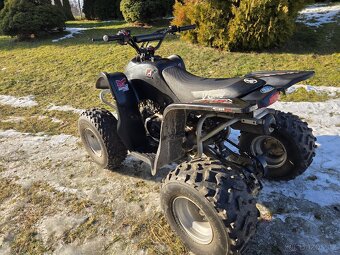 Access Motor DRR 100 - 2