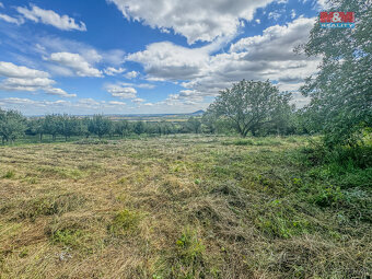 Prodej zahrady, 3500 m², Třebenice - 2