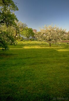 Prodám parcelu v obci Ráby, 592m2 - 2