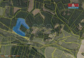 Prodej lesa, 26262 m², Přechovice - 2