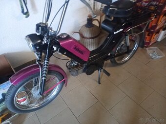 babetta - 2