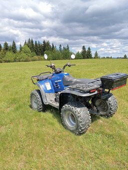 Polaris Magnum 325 - 2