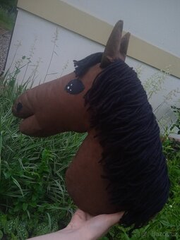 Hobby horse - 2