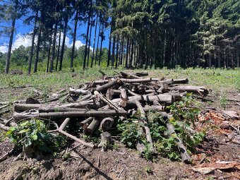 Prodej palivového dřeva - 2