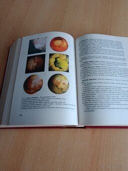 Vnitřní lékařství, Manipulační léčba, Domácí lékař - 2