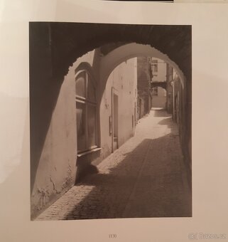 Jolana Havelková Kolín - 2