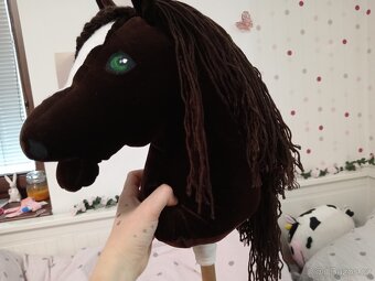Hobby horse - 2