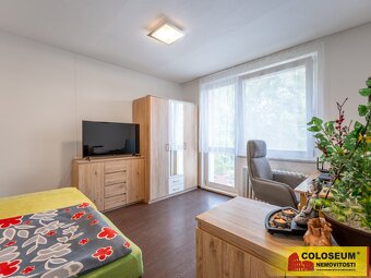 Bílovice nad Svitavou, byt 1+1, 35 m2, balkón, sklep - byt - 2