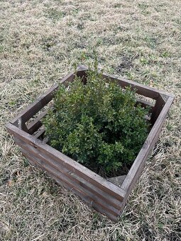 Dřevěný obal na truhlík - 2