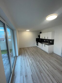 Pronájem bytu 1+kk 30 m² se zahradou 56 m², Plzeň Litice - 2