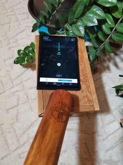 Didgeridoo - 2