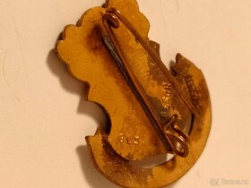 Odznaky Turnverein - 2