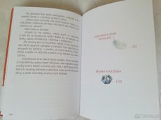 Dětská kniha Pohádky bratří Grimmů - 2