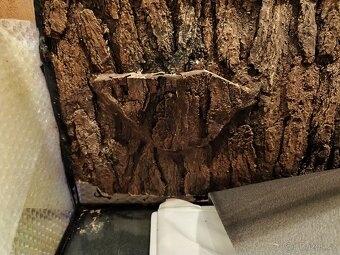 Terárium 80x40x35 - 2