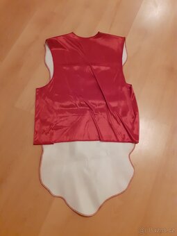 Maska na Maškarní ples - Slanina - 2