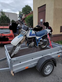 Suzuki DR600 - 2