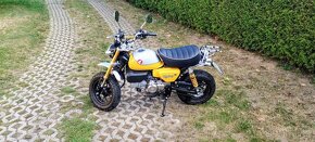 Monkey - 2