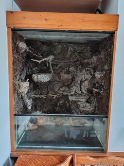 terarium - 2