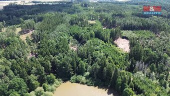 Prodej lesa, 5323 m², Olší u Opařany - 2
