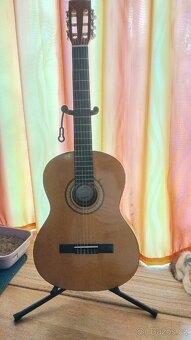Akustická kytara (Španelská) - 2
