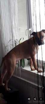 Nabídka je krytí - 2