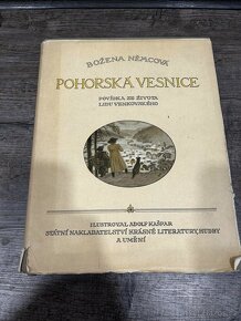 Božena Němcová, Pohorská vesnice - 2