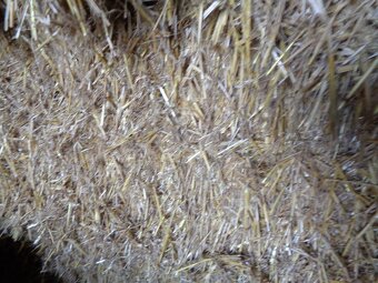 Sláma, balíky slámy - 2