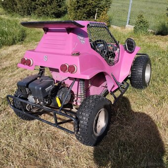 HAVEL BUGGY - 2