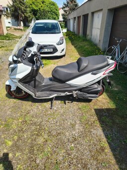 Sym Joymax 300i - 2