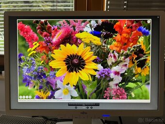 Monitor Fujitsu 22" - 2