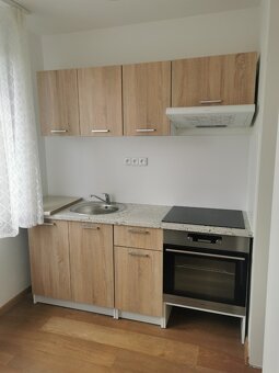Centrum - Karlovina 1+1 po rekonstrukci, částečně zařízené - 2