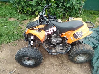 Čtyřkolka HECHT 125ccm - 2