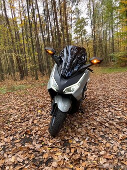 NOVÁ Honda Forza 350 + smart box - 2