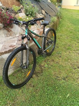 Author Solution 29 ASL - 2