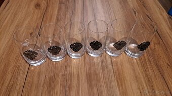 Skleničky s erbem - 2