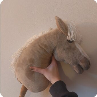 Hobby horse - 2