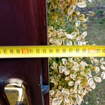 Vchodové dveře, dřevěné - 2