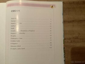 Kniha - knížka “Pohádky bratří Grimmů” - 2