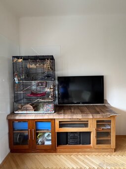 Televize LG - 2