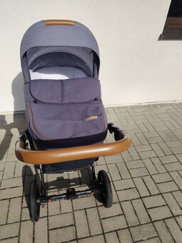 Kočátek tutis viva - 2