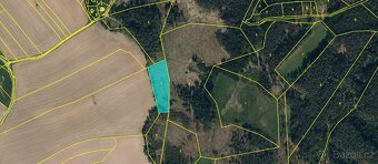 Prodej, Lesní pozemek, k.ú. Babice u Okrouhlice, Volichov - 2