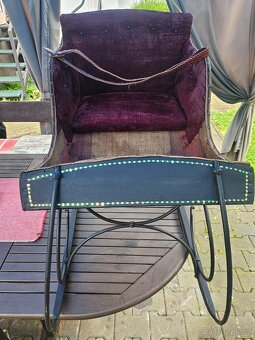 Historické saně - 2