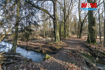 Prodej lesa, 685 m², Horšovský Týn - 2