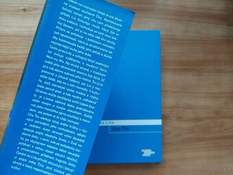 Cha Ťin / Ha Jin - Čekání na Lina, oceňovaný román - SLEVA - 2