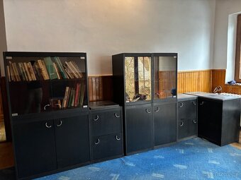 Obývací/kancelářská stěna - 2